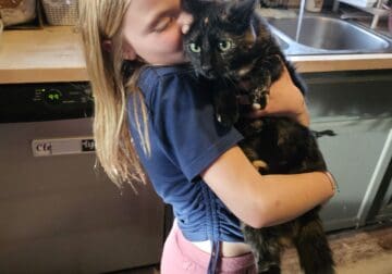 Rehoming our 2 gorgeous cats