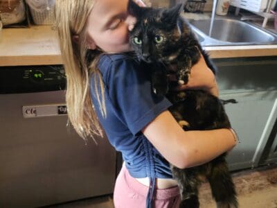 Rehoming our 2 gorgeous cats