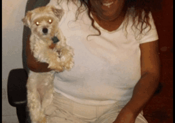 Loving Dog