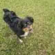 Thelma