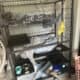 Two Ferrets a Cage and More