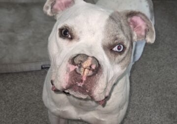 Hi I’m Mazy