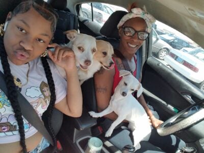 Friendly cute loving puppies