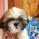 For Sale