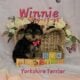 Yorkshire Terrier Puppies available
