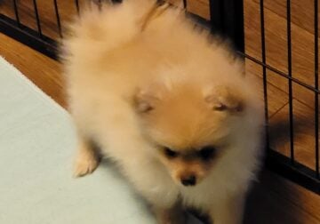 Cute and adorable