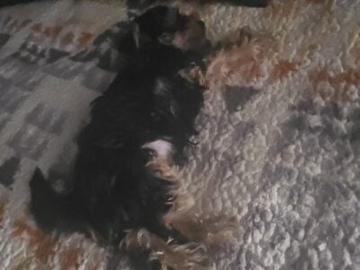 For sale