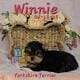 Yorkshire Terrier Puppies available