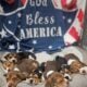 Purebred Beagle puppies – Male #1