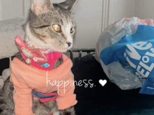 Beautiful girl – Joy