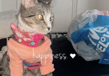 Beautiful girl – Joy