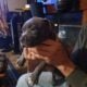 Micro Bully XL pups
