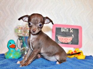 Symbra – Precious Baby Girl w Loads of Personality