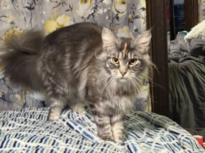 1yo Lovely Lady
