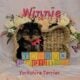 Yorkshire Terrier Puppies available