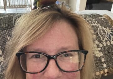 green cheek conure