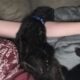 Toddler age kitten