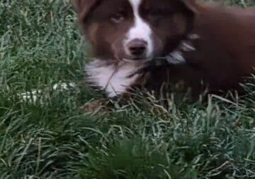 Here is the best !!!!