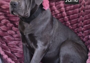 $500 OFF THIS WEEKEND! “June”