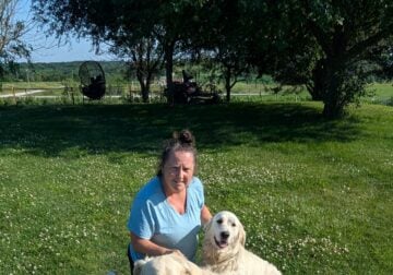 Golden Retriever Puppies for sale