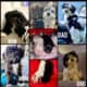 Malshi “Maltese Shih Tzu” Puppies
