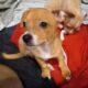 Looking for a good home for 2 puppies.