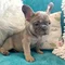Thumbnail 13