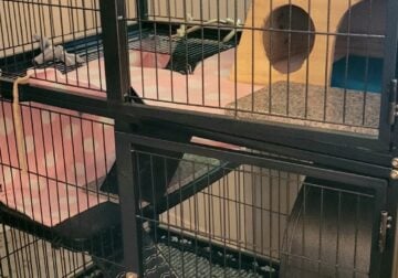 CHINCHILLA/FERRET Supplies