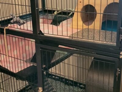 CHINCHILLA/FERRET Supplies