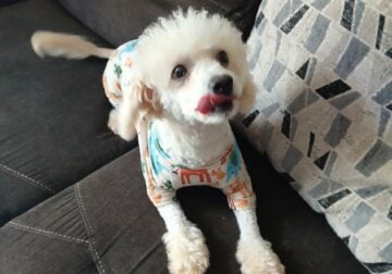 Coco chanel