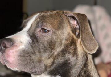 9month old baby girl