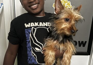 1 yr old Yorkie puppy for sale!!!!!!!