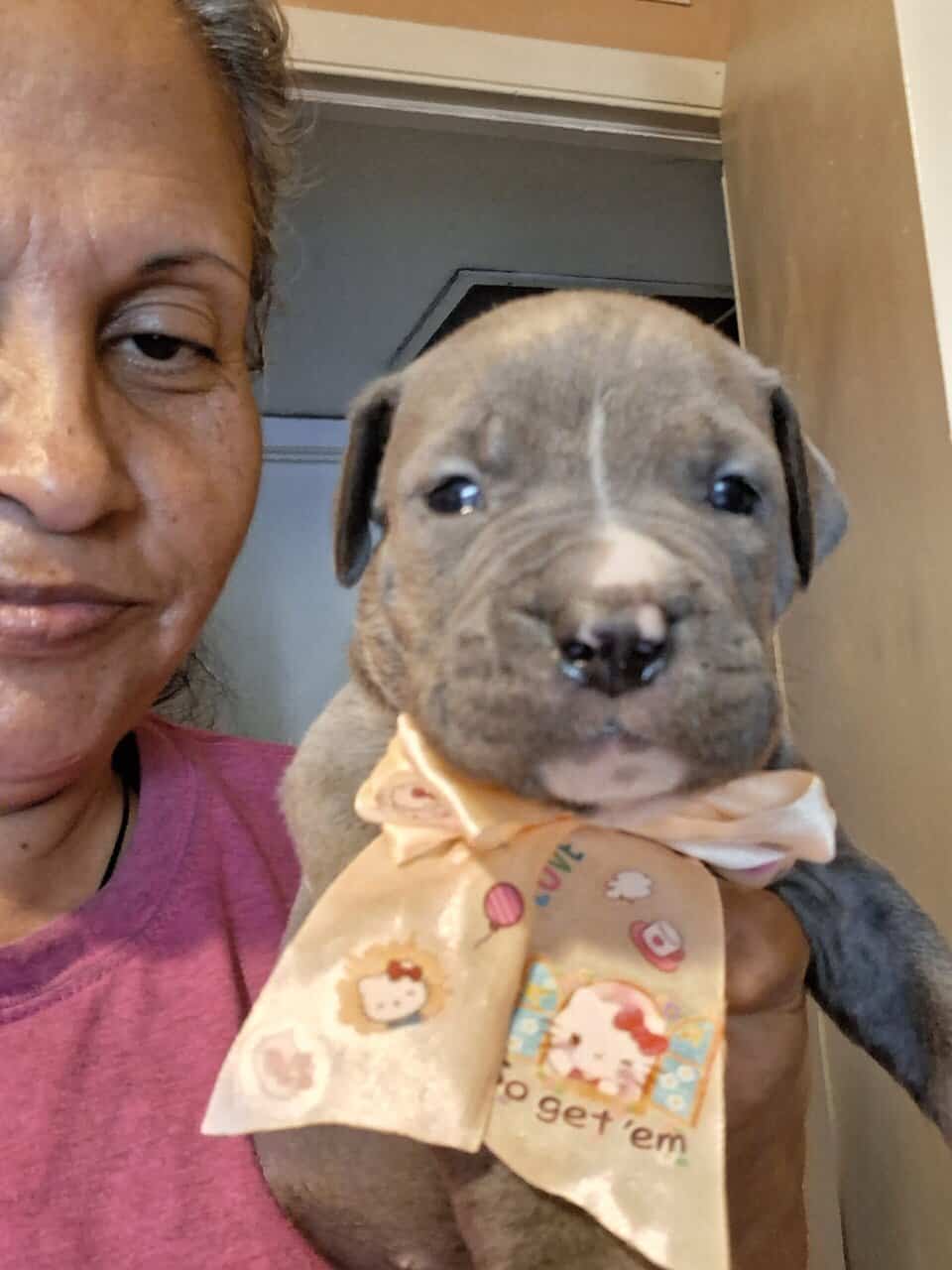 Pupp's image 3
