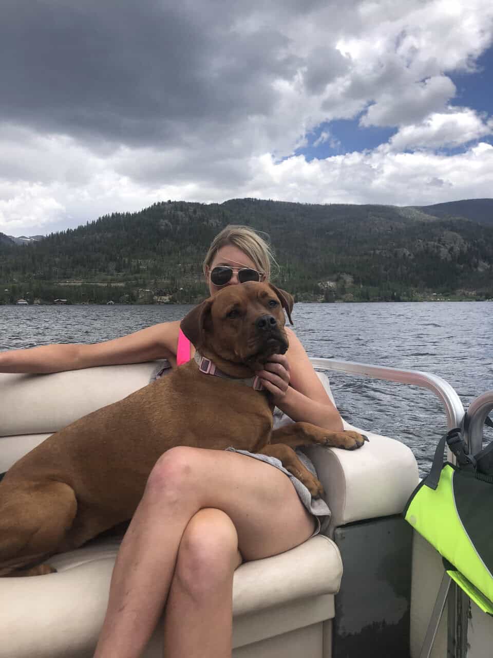 Fully Trained Family Friendly Dog image 5