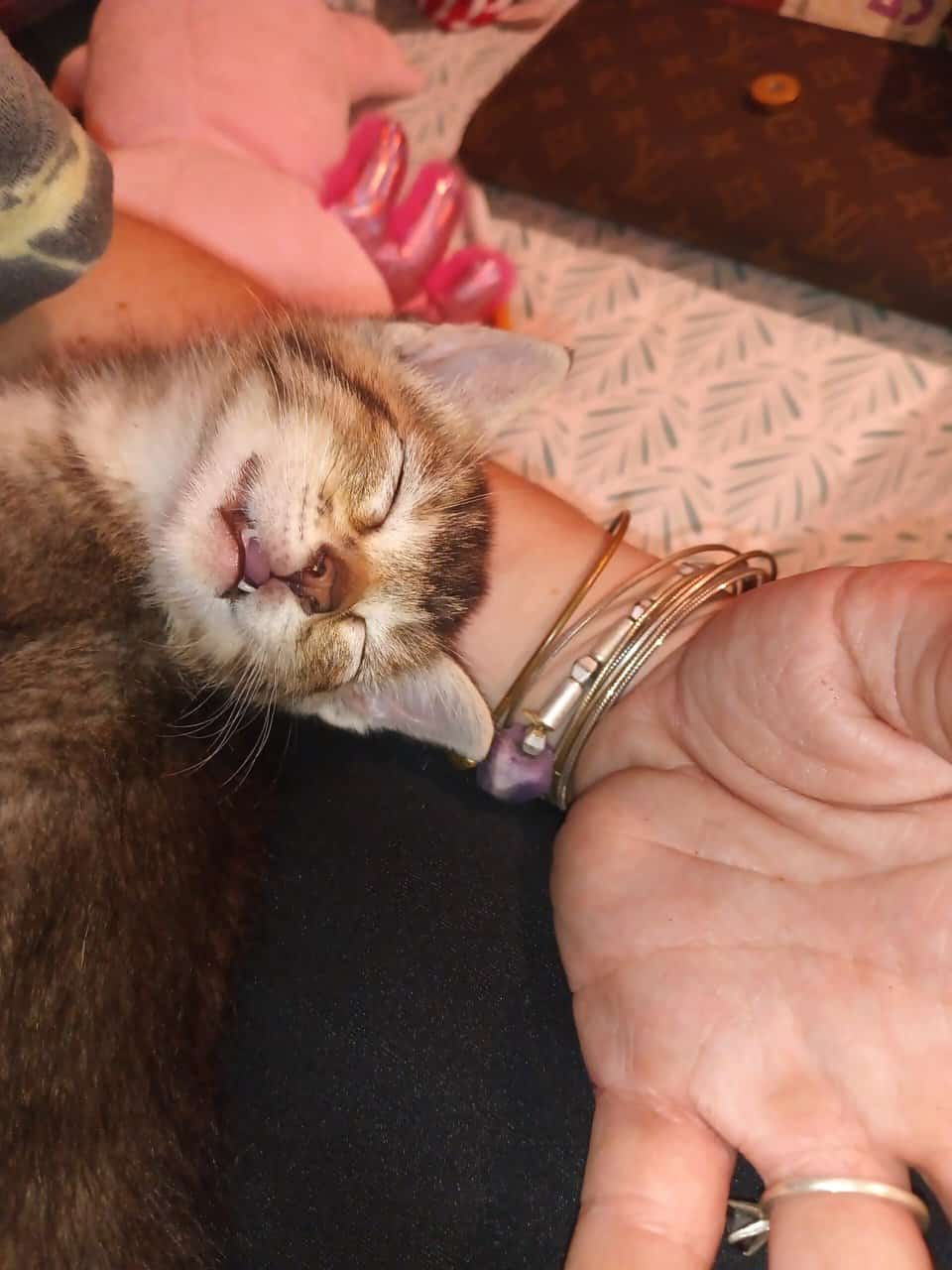 4 beautiful 4 week old bundles of joy image 2