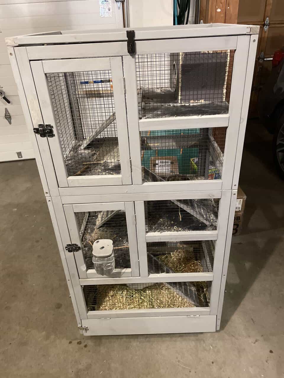 2 male chinchillas, grey and white + cage image 3