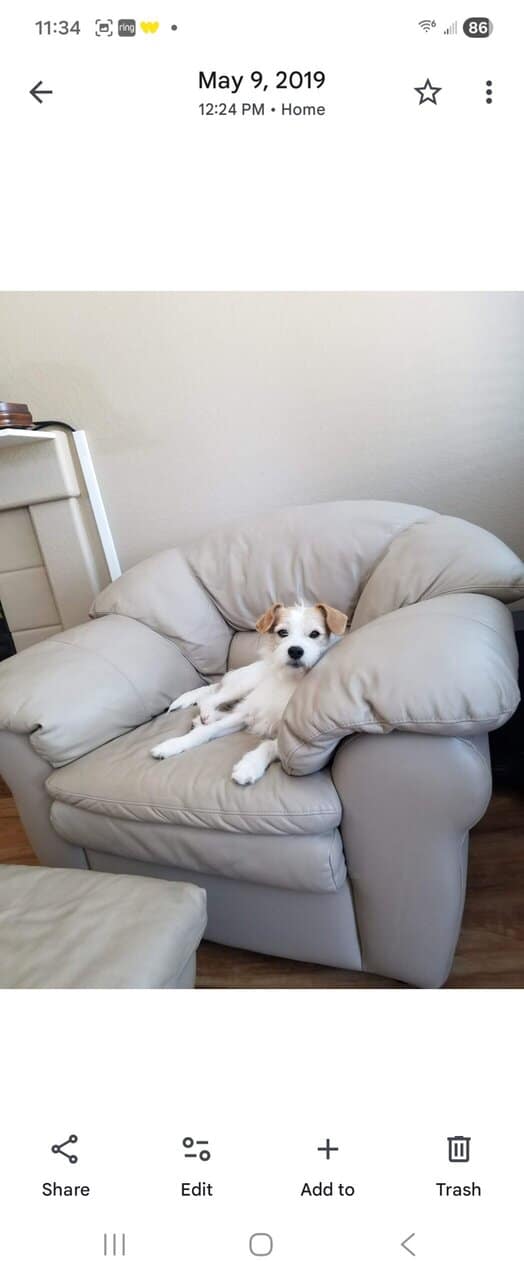 Home needed urgently! image 2