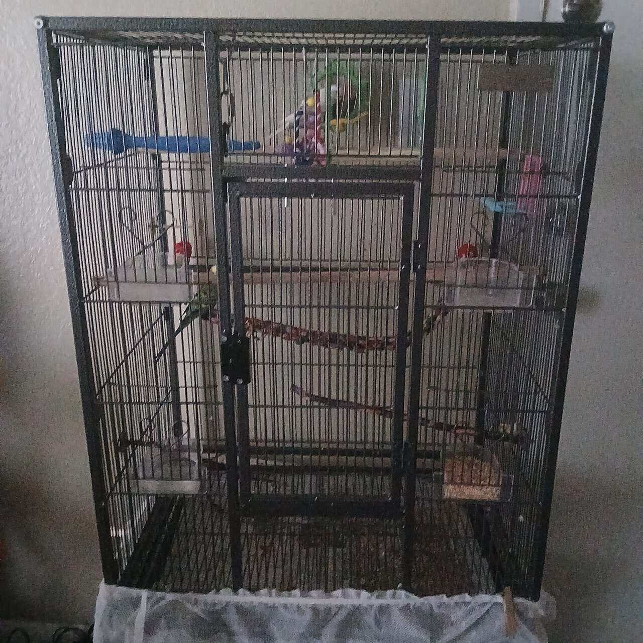 Large birdcage with 2 Budgies image 1