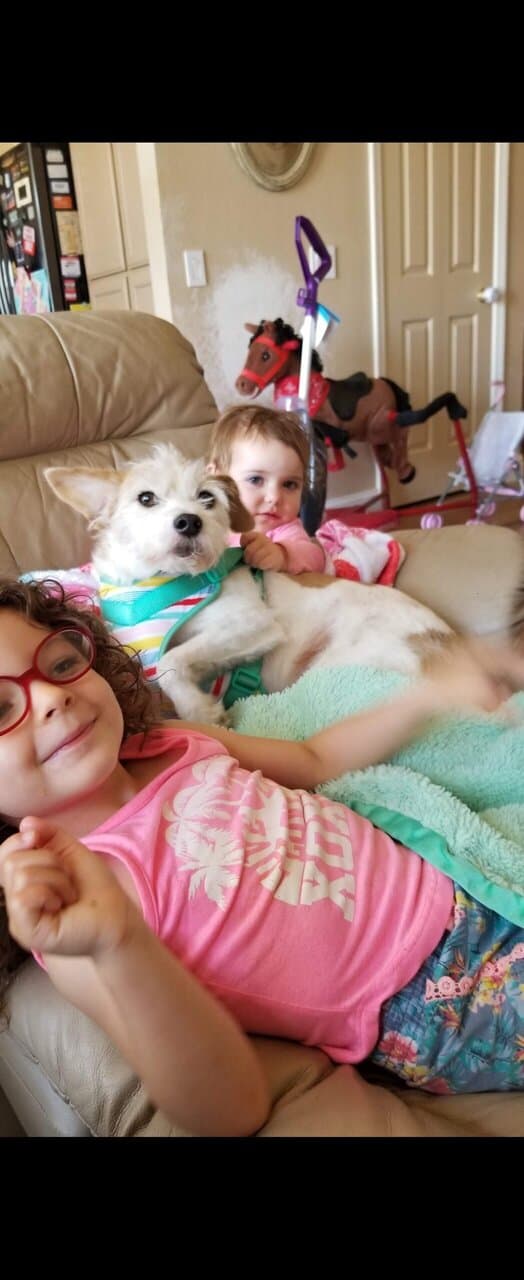 Home needed urgently! image 1