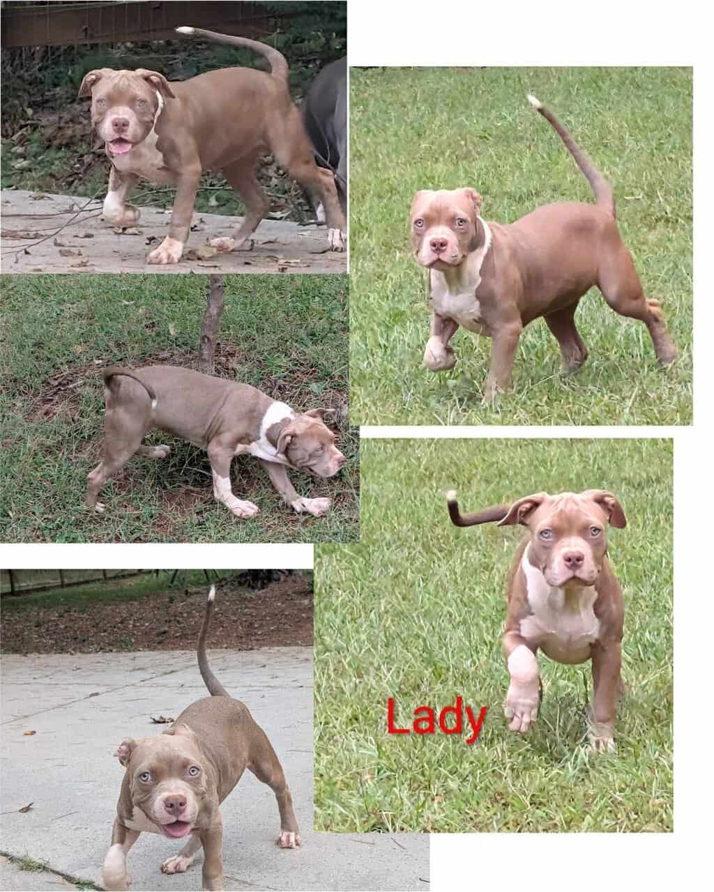 Female image 7