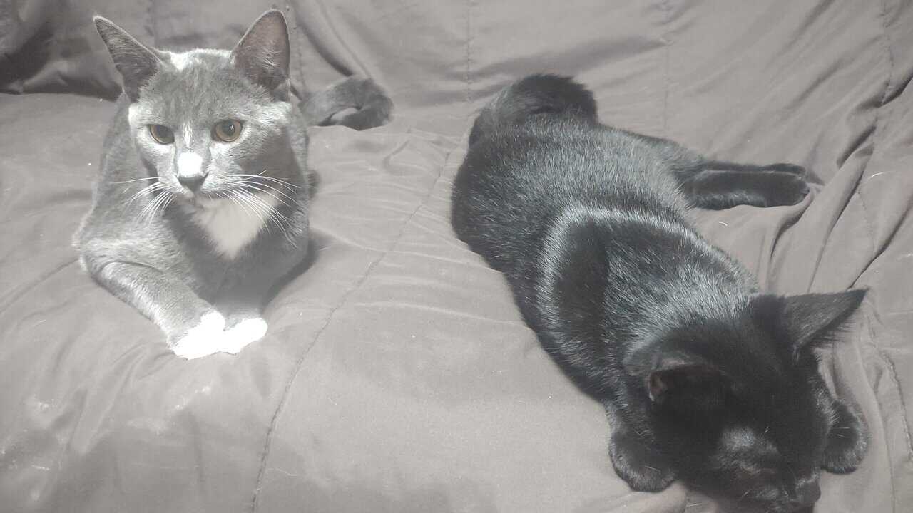 Billy & Clyde image 2