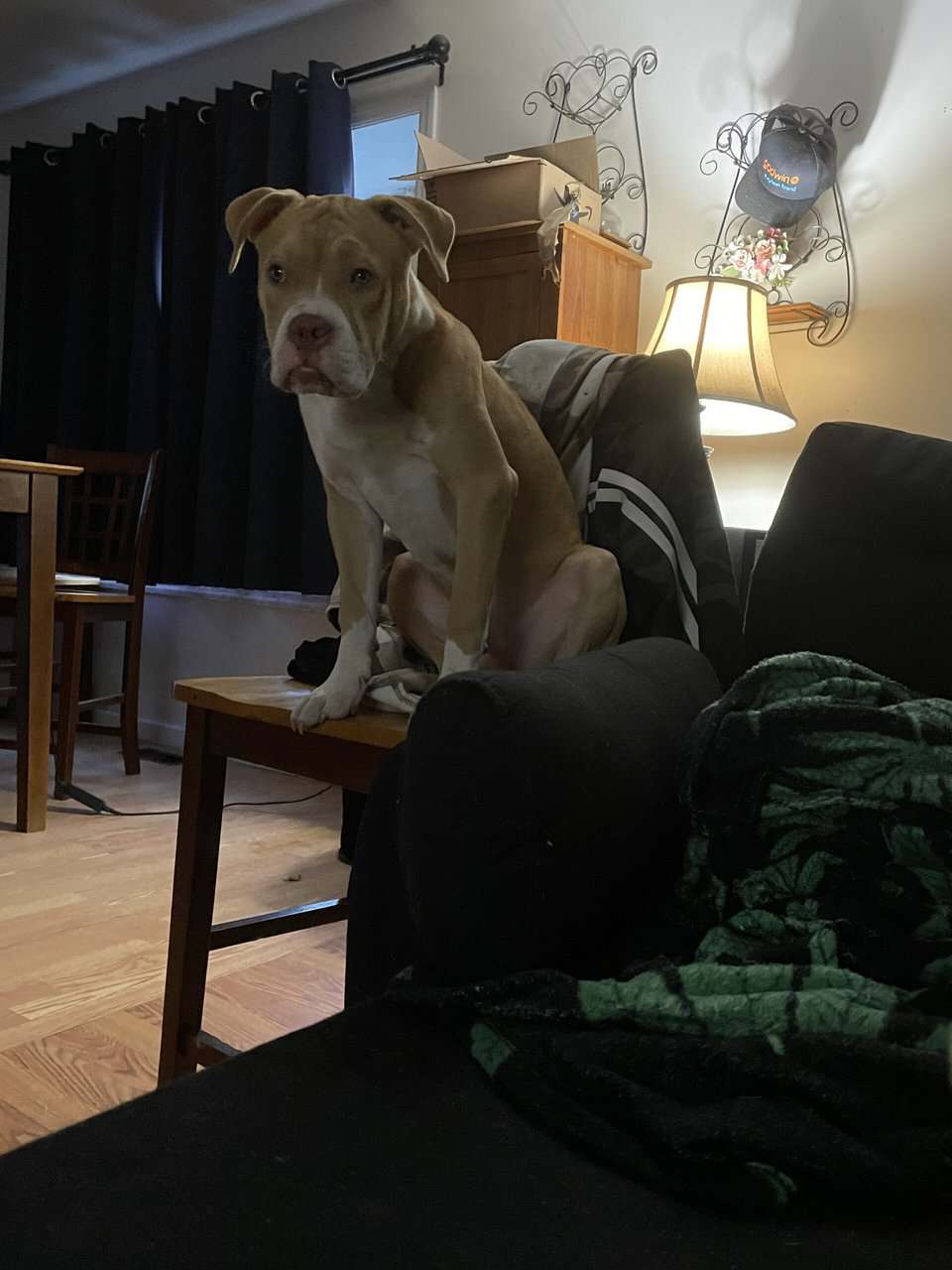 Chubs image 7