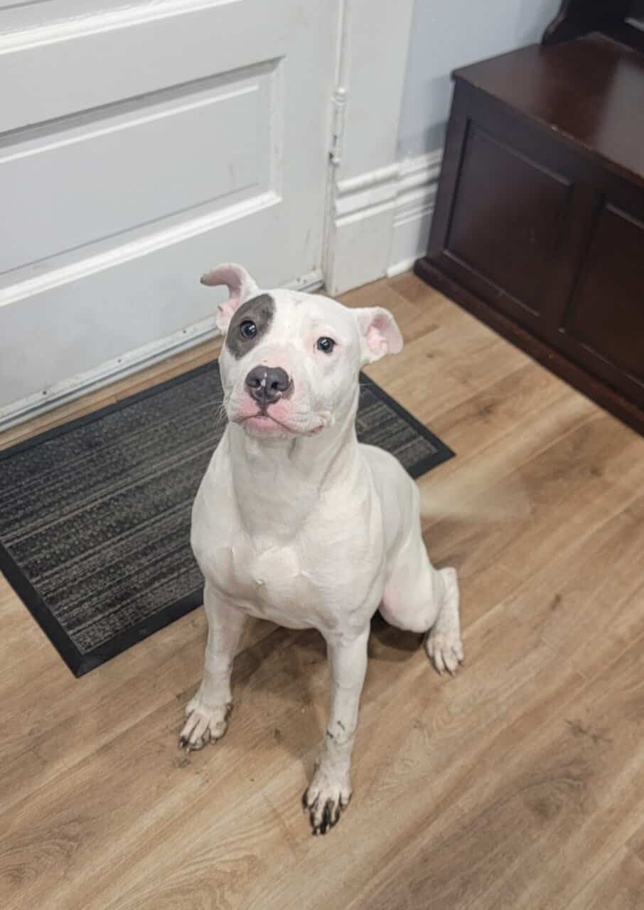Sweet and Energetic Delilah image 4