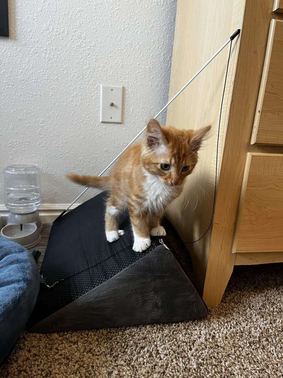 His name is Theo image 3