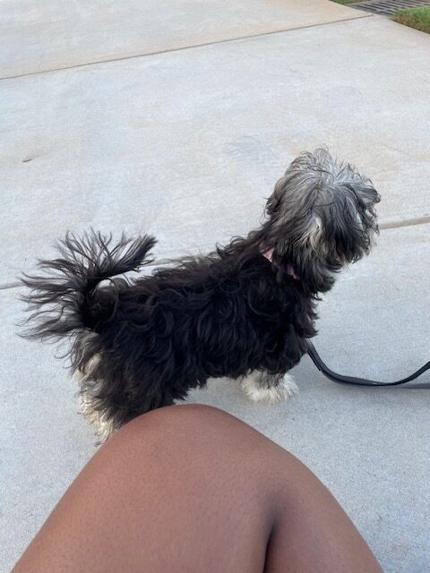 Britney image 3