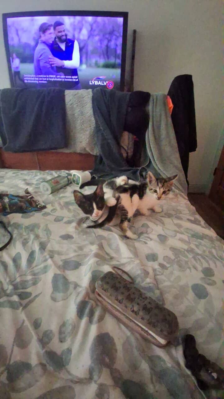 HELP me image 8