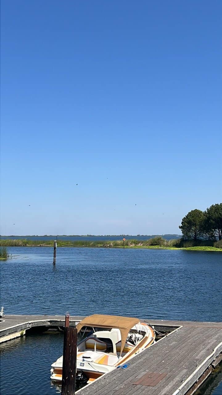 Doberman lab image 1
