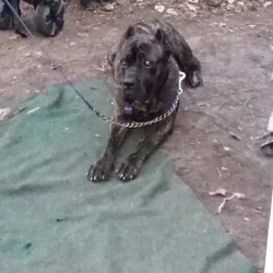 Homeless need to find a home