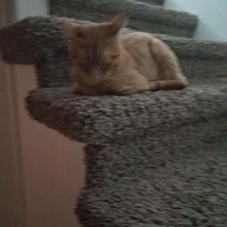 Rusty