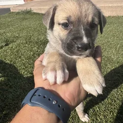 Looking for a good home 🏡